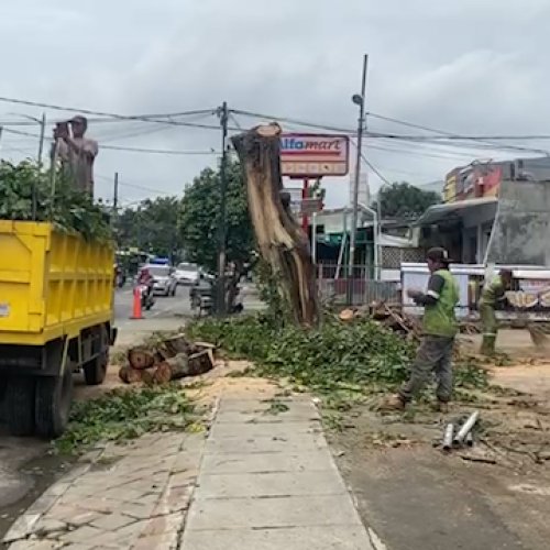 Antisipasi Cuaca Ekstrem, Disbudpar Kota Tangerang Pangkas Pohon Rawan Tumbang