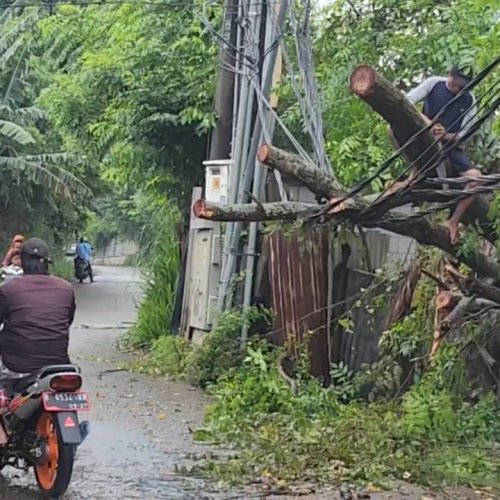 Pohon Tumbang Tutup Akses Jalan di Pakuhaji Tangerang