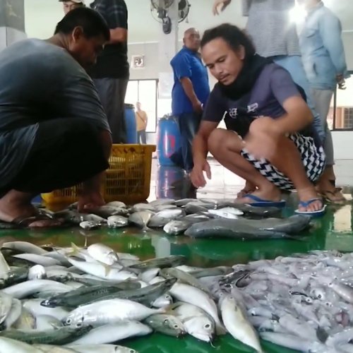 Jelang Ramadhan, Harga Ikan Premium Di Labuan Banten Meroket