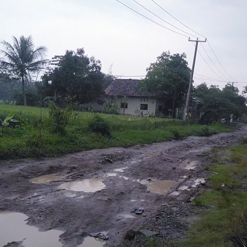 Derita Warga Kubang Kampil Melintasi Jalan Bak Kubangan Kebo