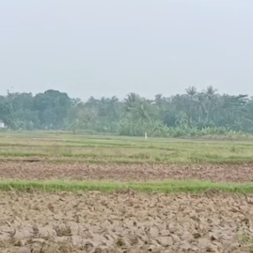 Kekeringan Ancam 8 Kecamatan di Kabupaten Lebak