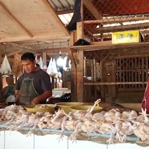 Harga Telur dan Ayam Mendadak Naik, Pedagang di Lebak Libur Jualan