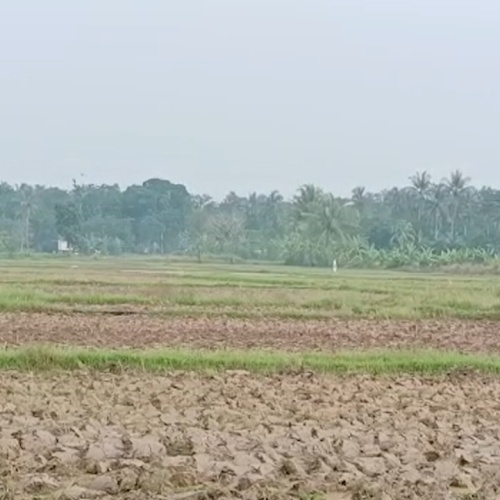 Musim Kemarau, 13 Kecamatan di Pandeglang Rawan Kekeringan