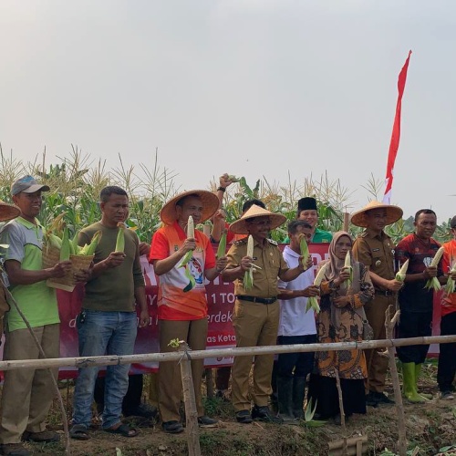 Pemkot Tangerang bersama Pejantan Panen Jagung Arumba