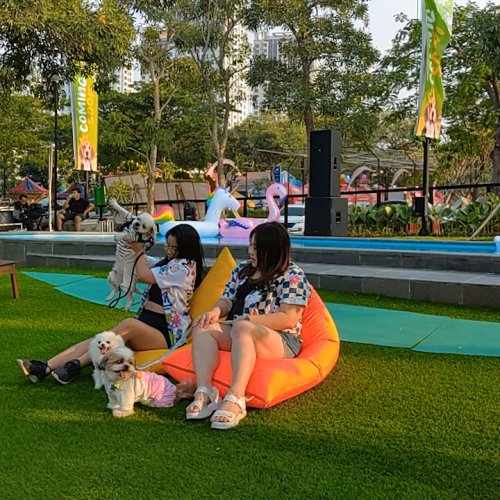 Paws Dog Dream Park Fasilitas Bermain Seru dengan Anabul Kesayangan di SMS