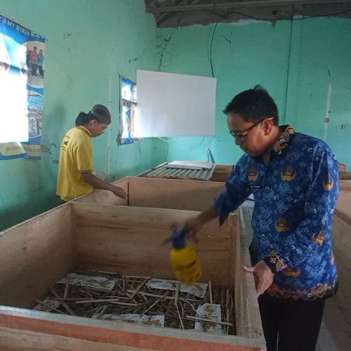 Budidaya Jangkrik Jadi Sumber Penghasilan Warga Carenang Kabupaten Serang