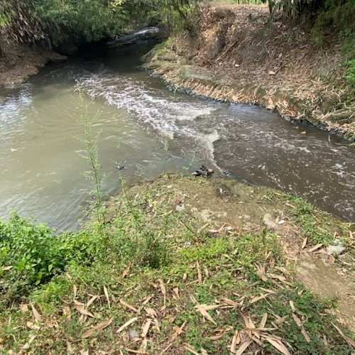 Sungai Ciujung Banten Tercemar, Siapa Peduli?