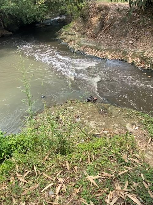 Sungai Ciujung Banten Tercemar, Siapa Peduli?