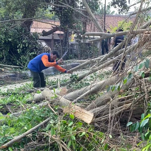 BPBD Lebak Imbau Warga Waspada Bencana Angin Puting Beliung