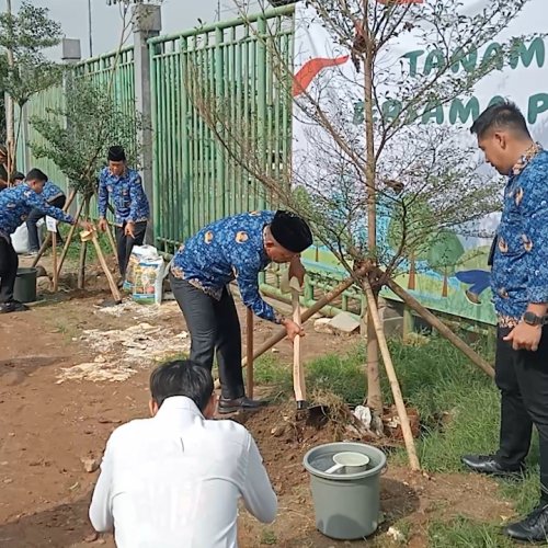 DLH Kota Bekasi Serukan Penanaman Pohon Guna Menekan Minimnya RTH