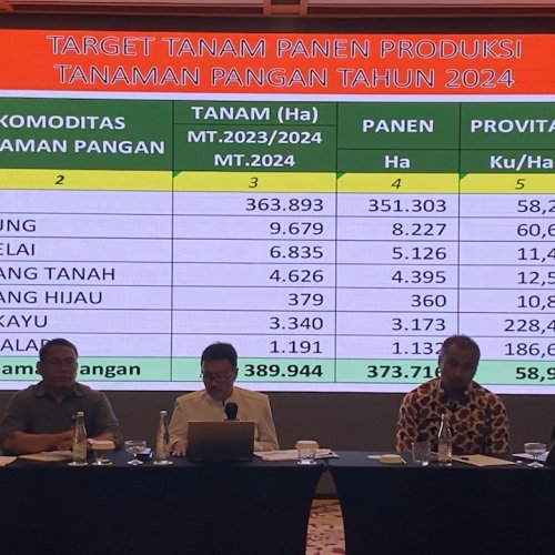 Produksi Beras di Banten Turun Jadi 1,6 Juta Ton Disebabkan El Nino