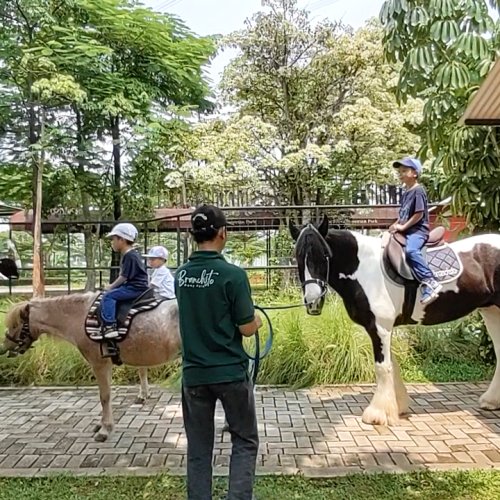 Wisata Berkuda di Branchsto Equestrian Park BSD Cocok Untuk Anak-anak