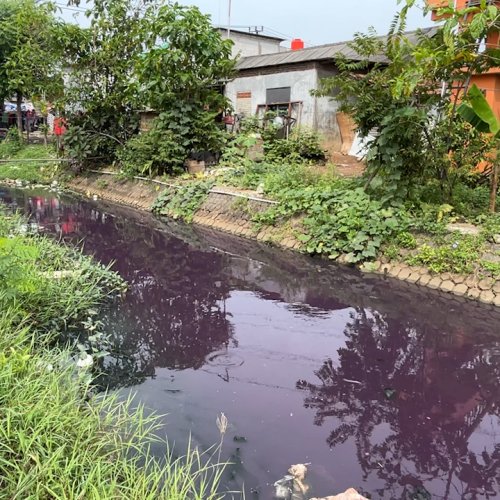 Saluran Irigasi di Kecamatan Rajeg Berubah Warna, Petani Khawatir Hasil Panen Rusak