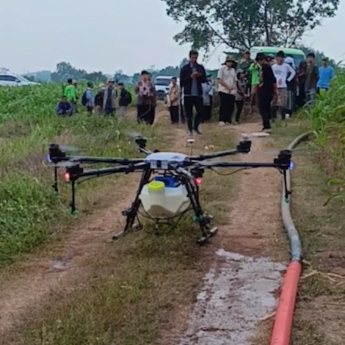 Canggih, Petani di Lebak Pakai Drone untuk Penyemprotan Lahan