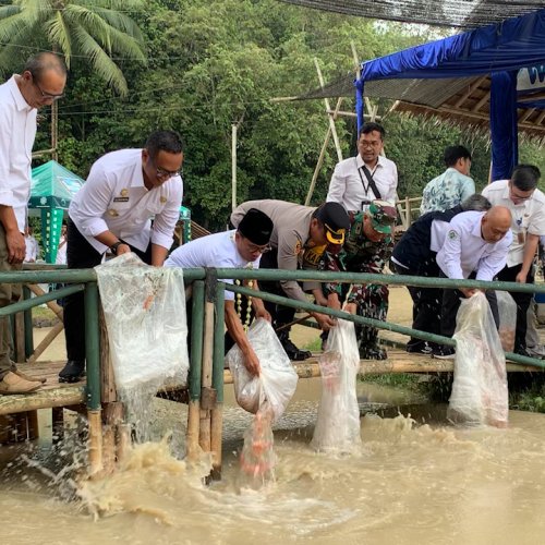 Menteri Desa Berharap Lebak Bisa Menjadi Daerah Swasembada Pangan