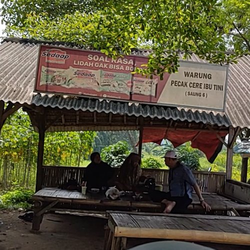 Warung Makan Cere Bu Tini Sajikan Menu Tradisional di Tangsel dengan Ikan Sungai Segar