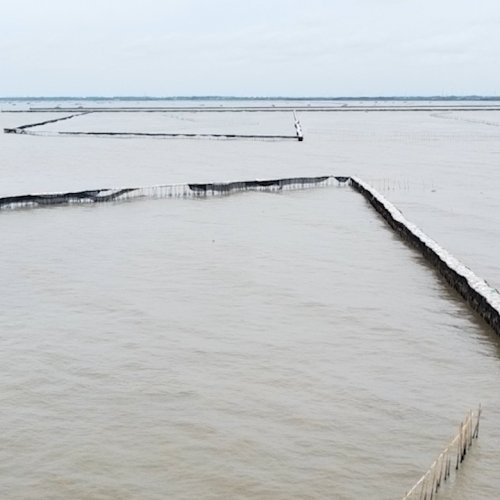 Pengamat Pertanyakan Pajak Pagar Laut